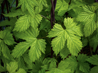 Similar image 21439574