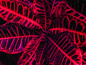 Similar image 21439587