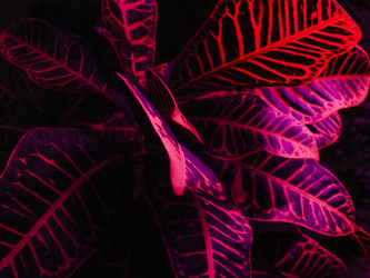 Similar image 21439589