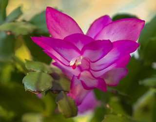 Similar image 21439591