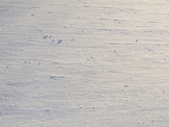 Similar image 21439599