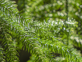 Similar image 21439606