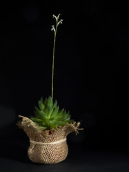 Similar image 21439621