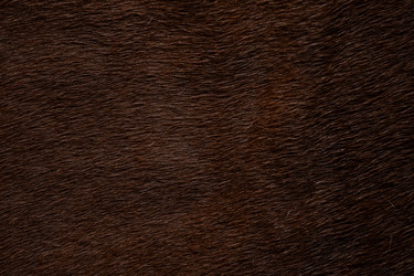 Similar image 21434260