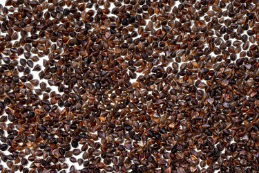 Similar image 21467445