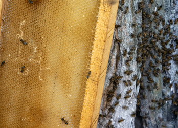 Similar image 21467448