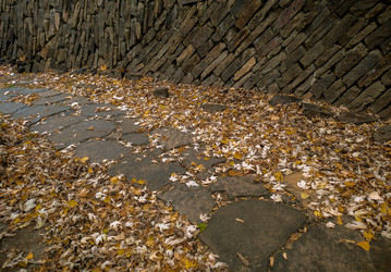 Similar image 21467456