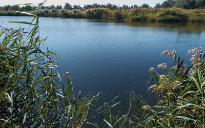 Similar image 21434276