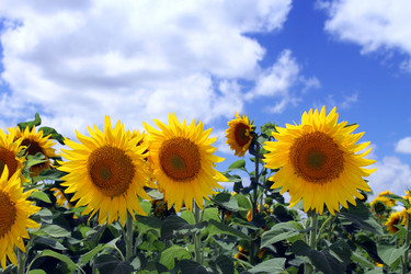 Similar image 21467466