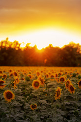 Similar image 21467468