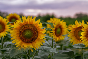 Similar image 21467470