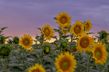 Similar image 21434278