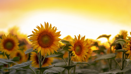 Similar image 21467471