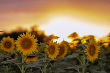 Similar image 21467473