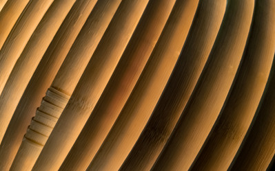 Similar image 21434281