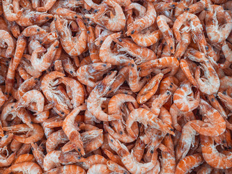 Similar image 21467498