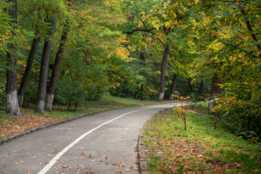 Similar image 21467505