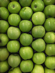 Similar image 21434291