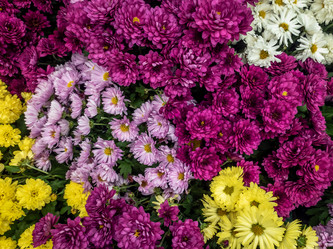 Similar image 21467532