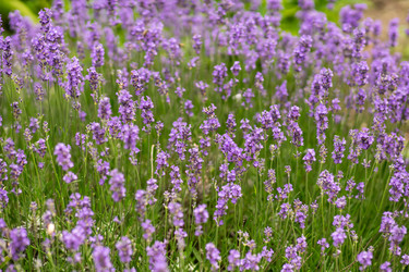 Similar image 21467535