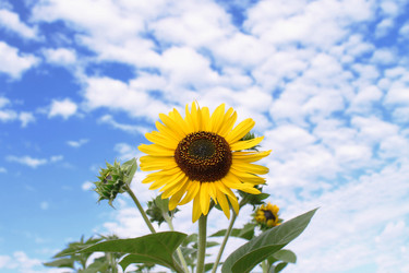 Similar image 21467541