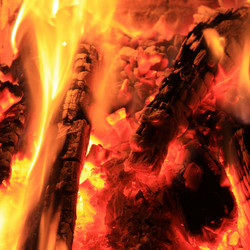 Similar image 21467542