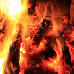 Similar image 21467569