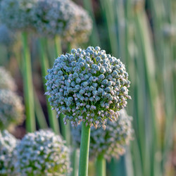 Similar image 21467580