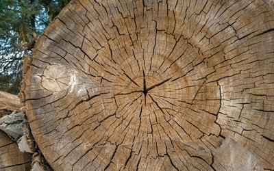 Similar image 21467582