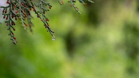 Similar image 21467588