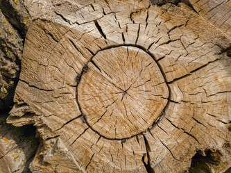 Similar image 21467593