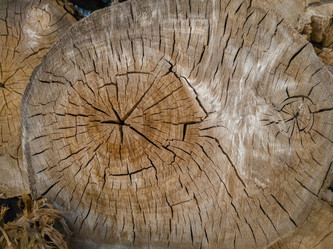 Similar image 21467600