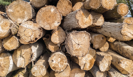 Similar image 21467603