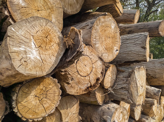 Similar image 21467605