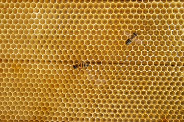 Similar image 21467619