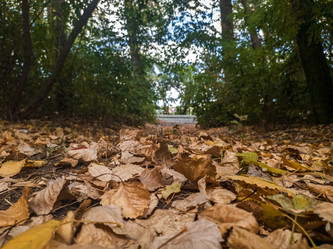 Similar image 21434301