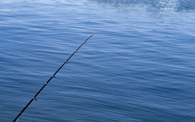 Similar image 21434310