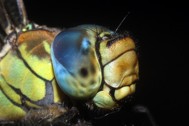 Similar image 21434311