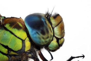 Similar image 21434317