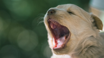 Similar image 21434320