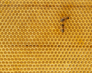 Similar image 21434324