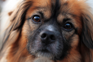 Similar image 21434330