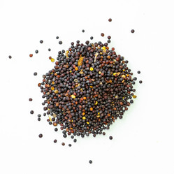 Similar image 21434334