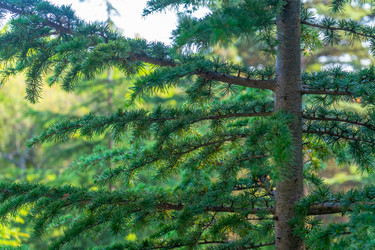 Similar image 21434335