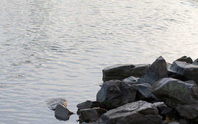 Similar image 21467632