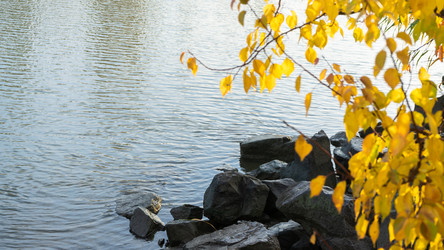 Similar image 21434348