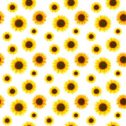 Similar image 21434355