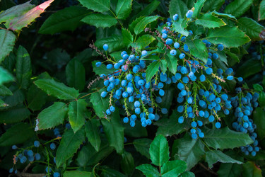 Similar image 21467636