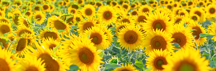 Similar image 21467640