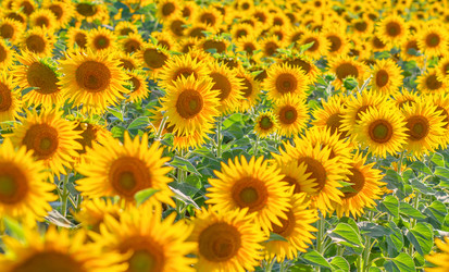 Similar image 21467642